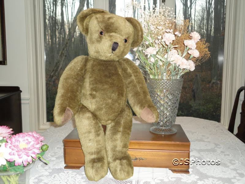 CANTERBURY BEAES テディベア 1985年　|1597|☆ ヴィンテージテディベア イギリス80年代 Canterbury Bears
